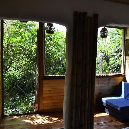 Habitacion Las Bromelias, Pijao, Finca Flora Del Rio Eksteriør bilde