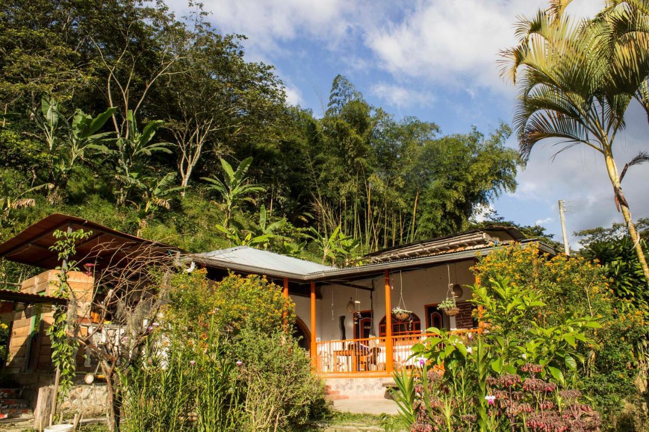 Habitacion Las Bromelias, Pijao, Finca Flora Del Rio Eksteriør bilde