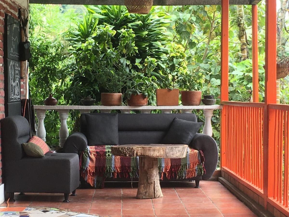 Habitacion Las Bromelias, Pijao, Finca Flora Del Rio Eksteriør bilde